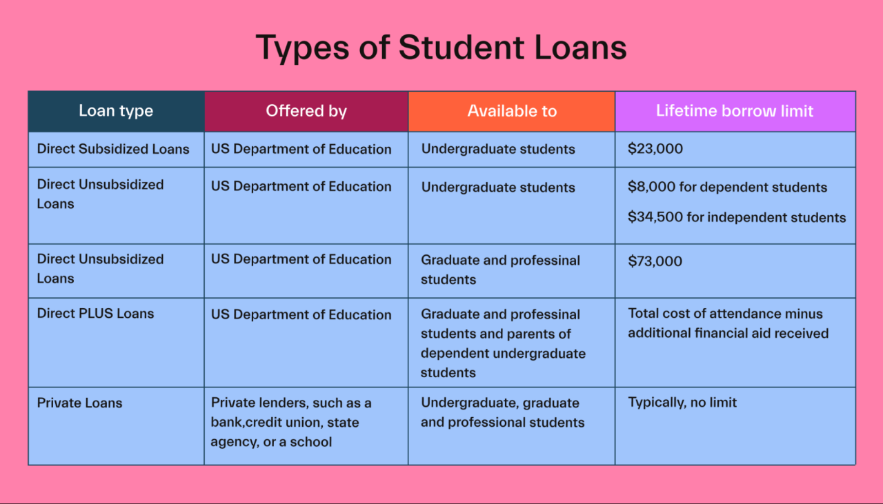 What is Student Finance Loan? How it works? Student finance England ...